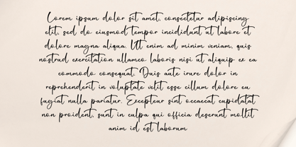 Salystiga Font Poster 8