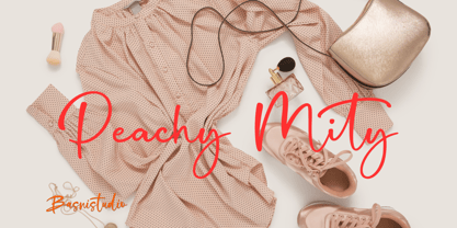 Salystiga Font Poster 3