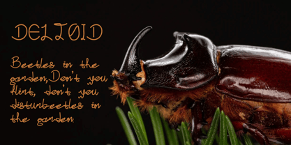 Detloid Font Poster 7