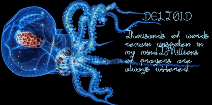 Detloid Font Poster 6