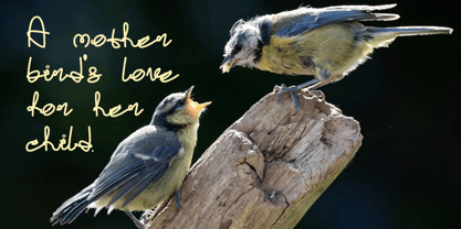 Detloid Font Poster 8