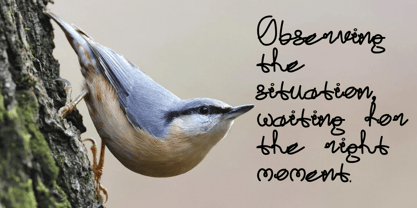 Detloid Font Poster 10