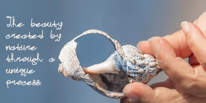 Detloid Font Poster 9