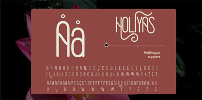 Holiyas Font Poster 10