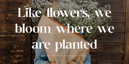 Rehgal Font Poster 3