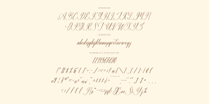 Beautyna Amberosa Font Poster 7