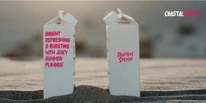 Coastal Threads Font Poster 9