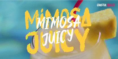 Coastal Threads Font Poster 8