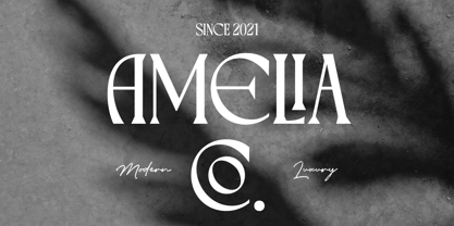 Varoste Font Poster 13