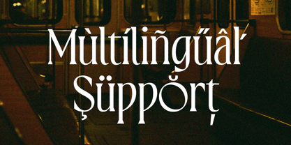 Varoste Font Poster 12