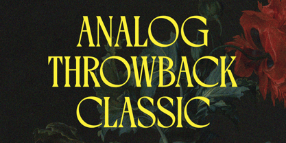 Varoste Font Poster 2