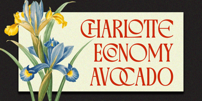 Varoste Font Poster 3