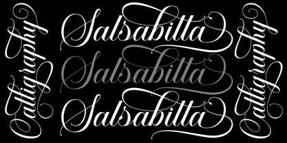 Mallinia Calligraphy Font Poster 4