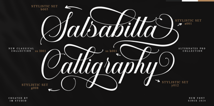 Mallinia Calligraphy Font Poster 7