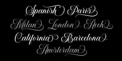 Mallinia Calligraphy Font Poster 9