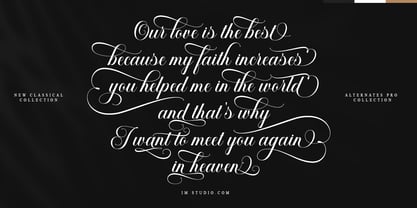 Mallinia Calligraphy Font Poster 3