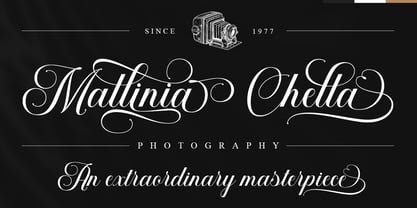 Mallinia Calligraphy Font Poster 5