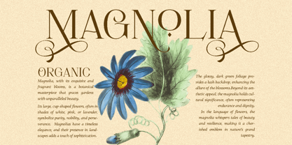 Movich Font Poster 3