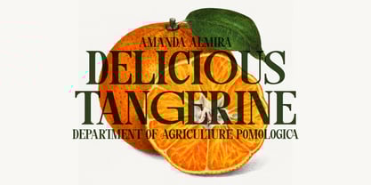 Veraday Display Serif Font Poster 8