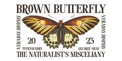 Veraday Display Serif Font Poster 7