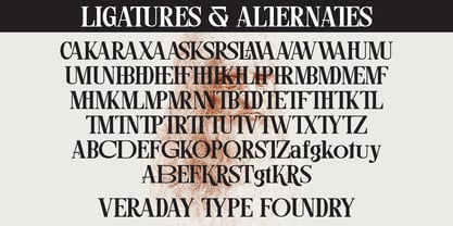 Veraday Display Serif Font Poster 11