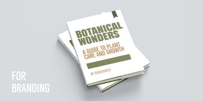 Urban Impact Font Poster 5