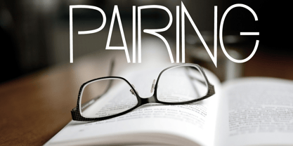 Pairing Font Poster 9