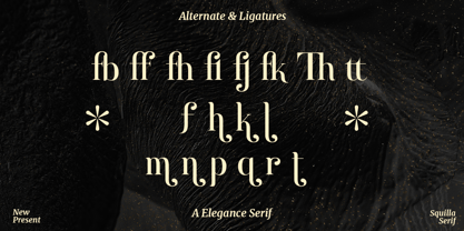 Squilla Font Poster 10