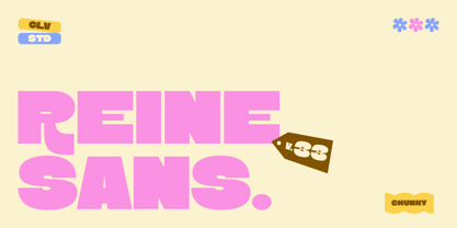 Reine Sans Font Poster 1