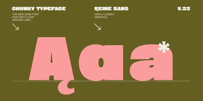 Reine Sans Font Poster 9