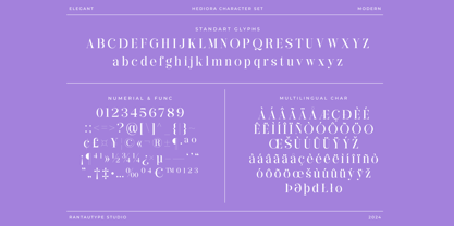 Hediora Font Poster 14