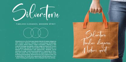 Sanitizer Eticulate Font Poster 2