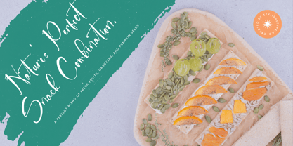 Sanitizer Eticulate Font Poster 12