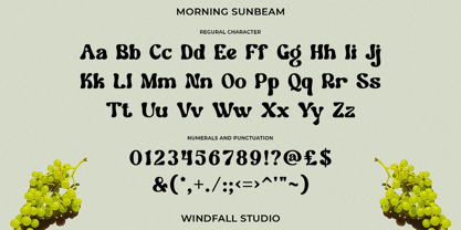 Morning Sunbeam Font Poster 9