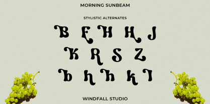 Morning Sunbeam Font Poster 10