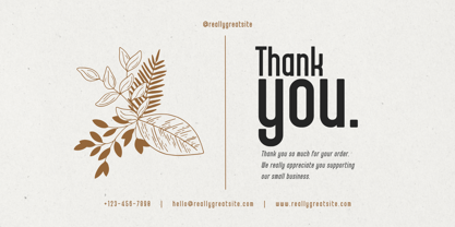 Fox Goldie Font Poster 11