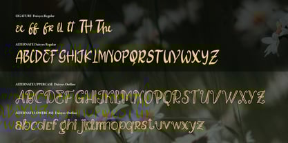 Daisyes Outline Font Poster 14