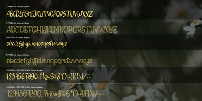 Daisyes Outline Font Poster 12