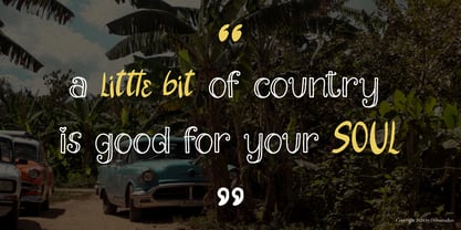 Daisyes Outline Font Poster 8