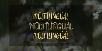 Daisyes Outline Font Poster 13