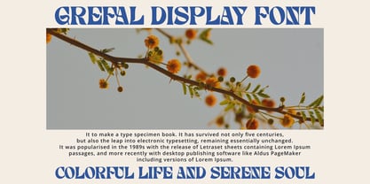 Grefal Display Font Poster 3