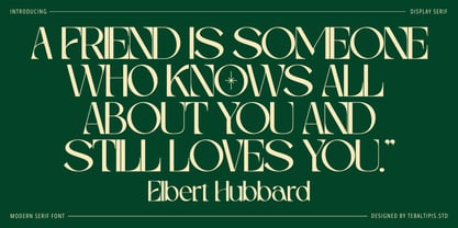 Mekaryu Display Serif Font Poster 9