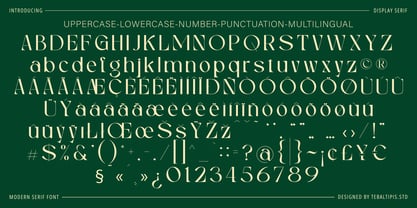 Mekaryu Display Serif Font Poster 8