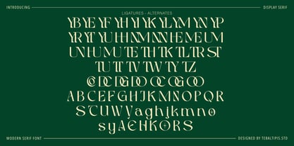 Mekaryu Display Serif Font Poster 7