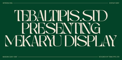 Mekaryu Display Serif Font Poster 5