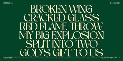Mekaryu Display Serif Font Poster 2