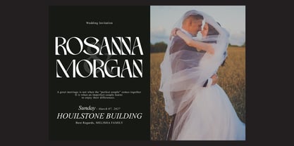 Mekaryu Display Serif Font Poster 6