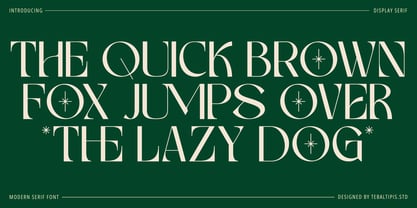 Mekaryu Display Serif Font Poster 4