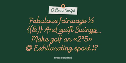 Galleco Script Font Poster 6