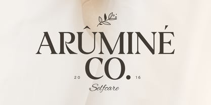 SS Bagera Font Poster 9